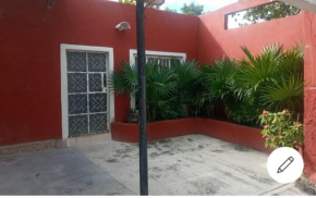 Pachacasa Sisal.